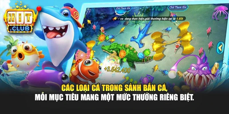 Các loại cá trong sảnh bắn cá, mỗi mục tiêu mang một mức thưởng riêng biệt.