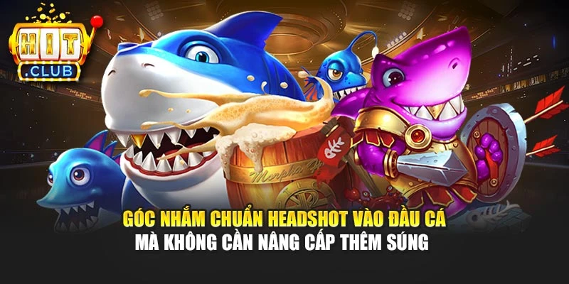 Góc nhắm chuẩn headshot vào đầu cá mà không cần nâng cấp thêm súng 