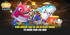 Kinh Nghiệm Săn Cá Lớn Hitclub Chuẩn Từ Người Chơi Lâu Năm
